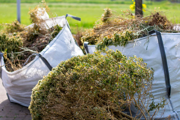 Best Garage Cleanout  in Allegan, MI